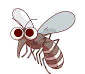 Mosquito